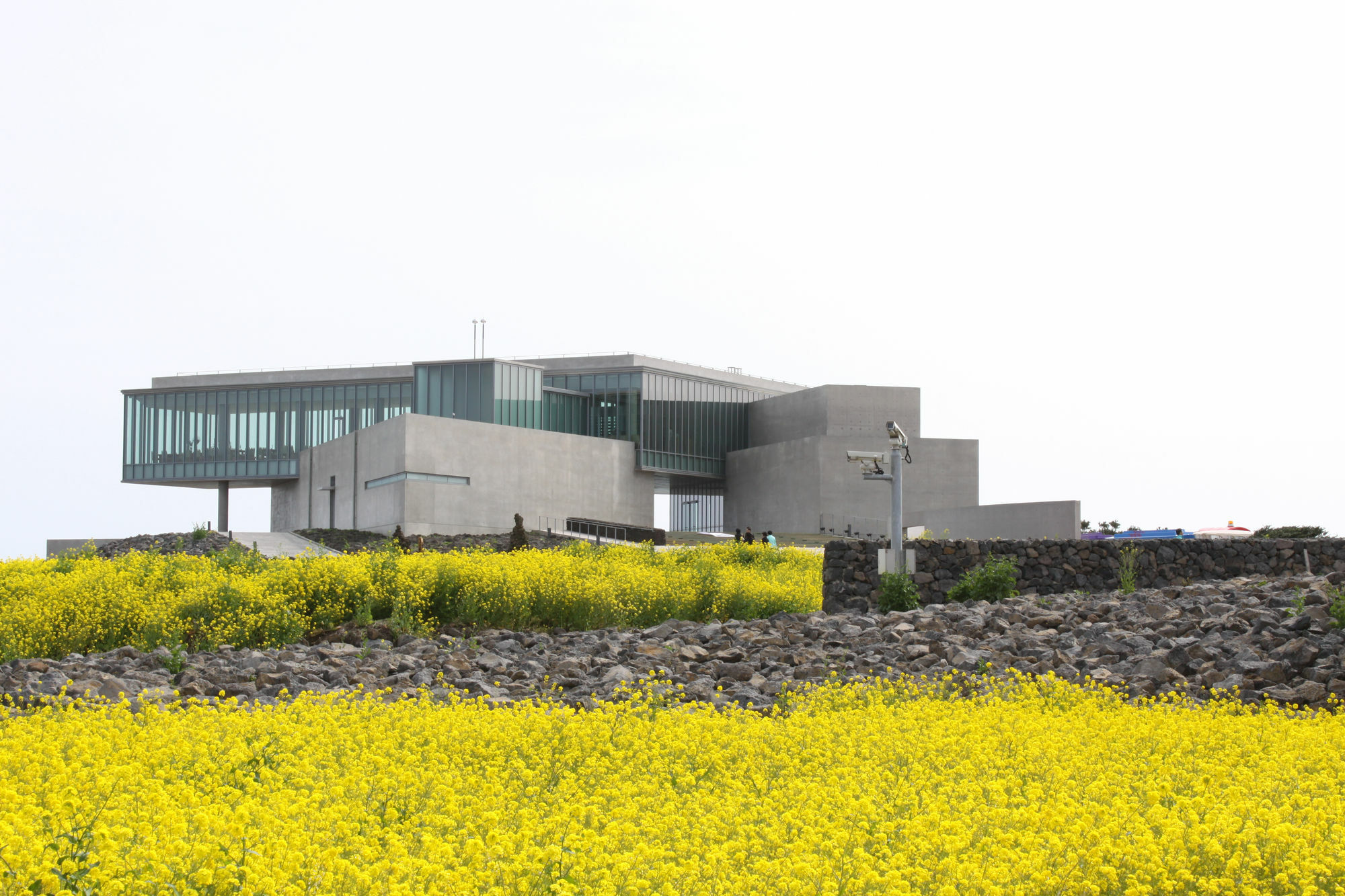 Phoenix Island Otel Seogwipo Dış mekan fotoğraf