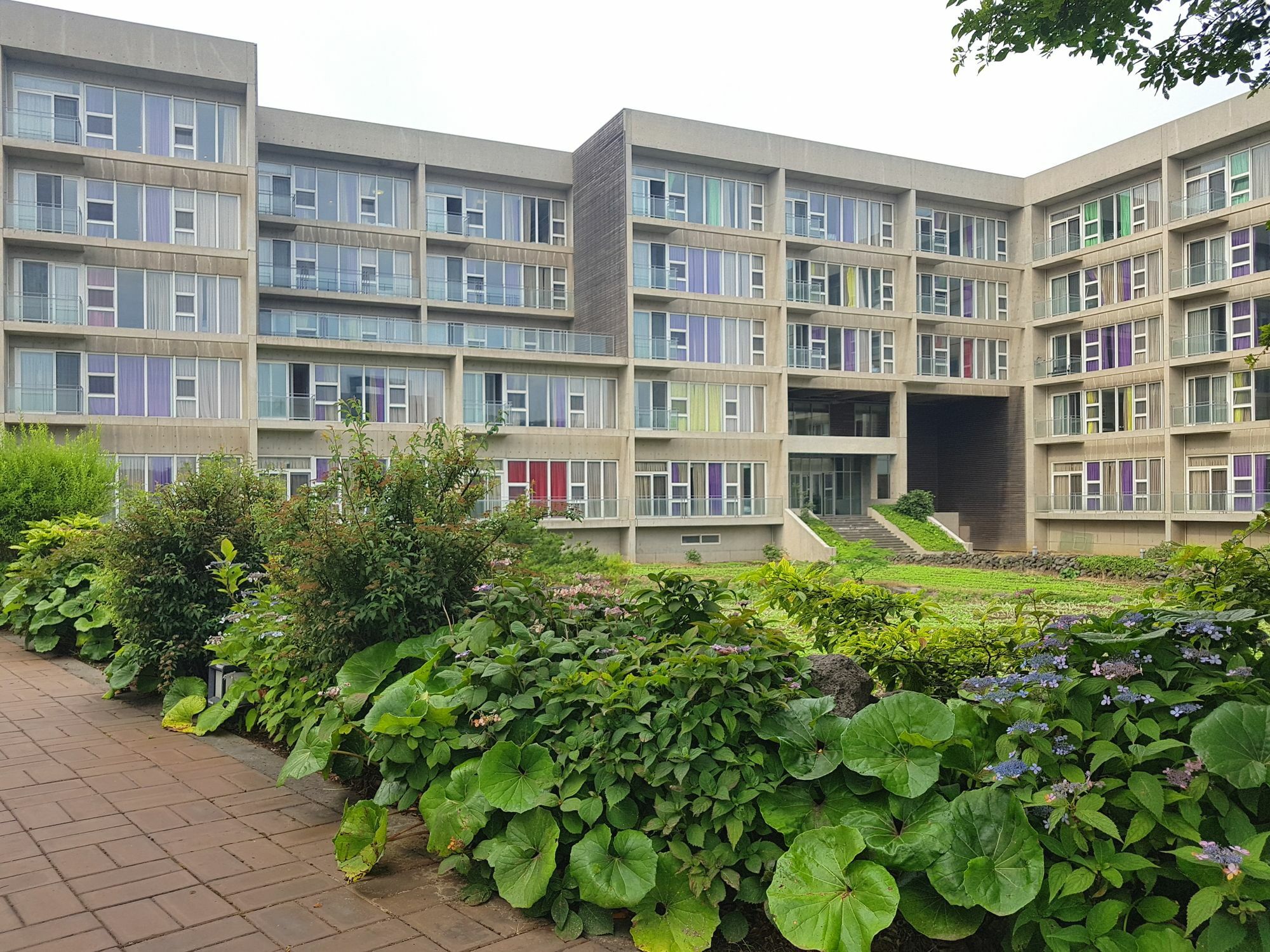 Phoenix Island Otel Seogwipo Dış mekan fotoğraf